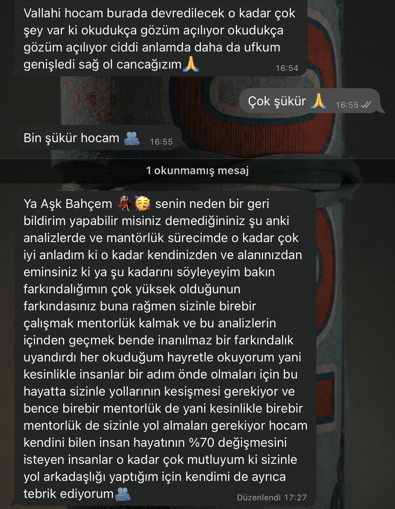 Gerçek WhatsApp katılımcı yorumu 18