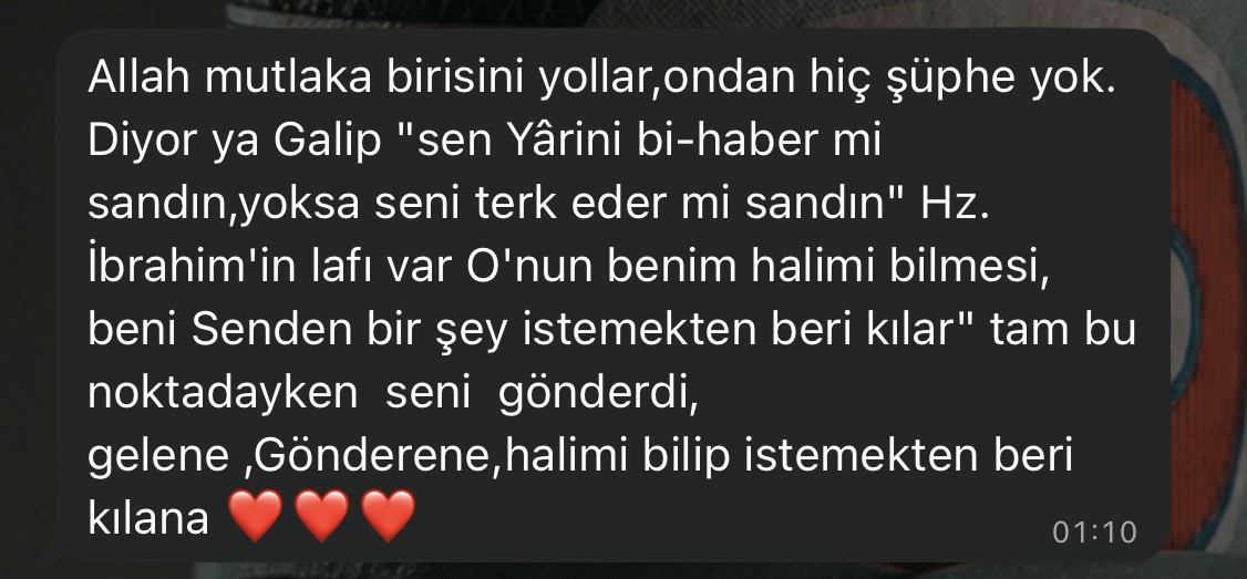 Gerçek WhatsApp katılımcı yorumu 19